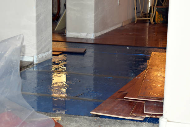 Professional Water Extraction technician working in Caliente, CA